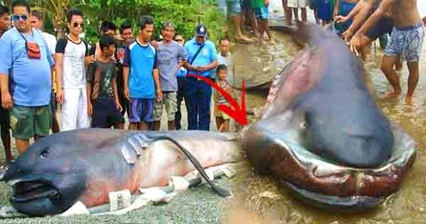that s so raven porn pics another fish in the sea dating site