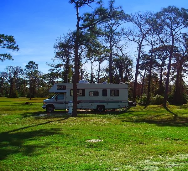 Adventures With Dear Miss Mermaid Child Of The Photos of