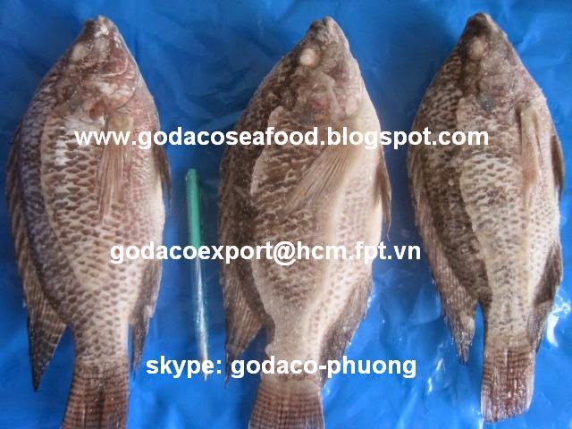 Whole Cleaned Black Tilapia-scale off-gills off-gutted-fin on-tail on