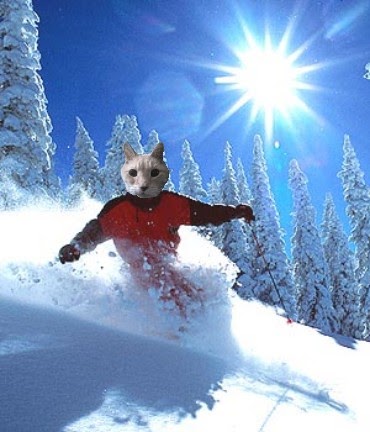 Aspen Lift tickets