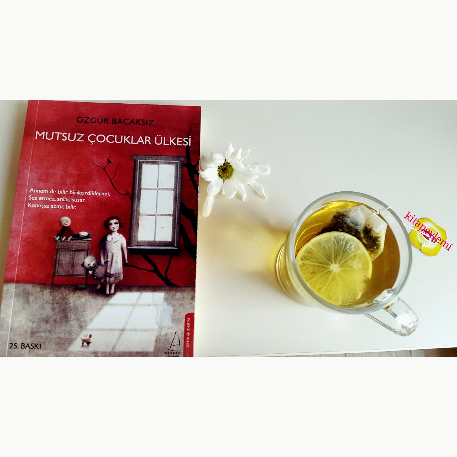 Kitap Eylemi Mutsuz Cocuklar Ulkesi Ozgur Bacaksiz