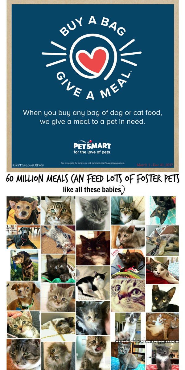 The Chronicles of Cardigan PetSmart Poised to Donate Over 60 Million