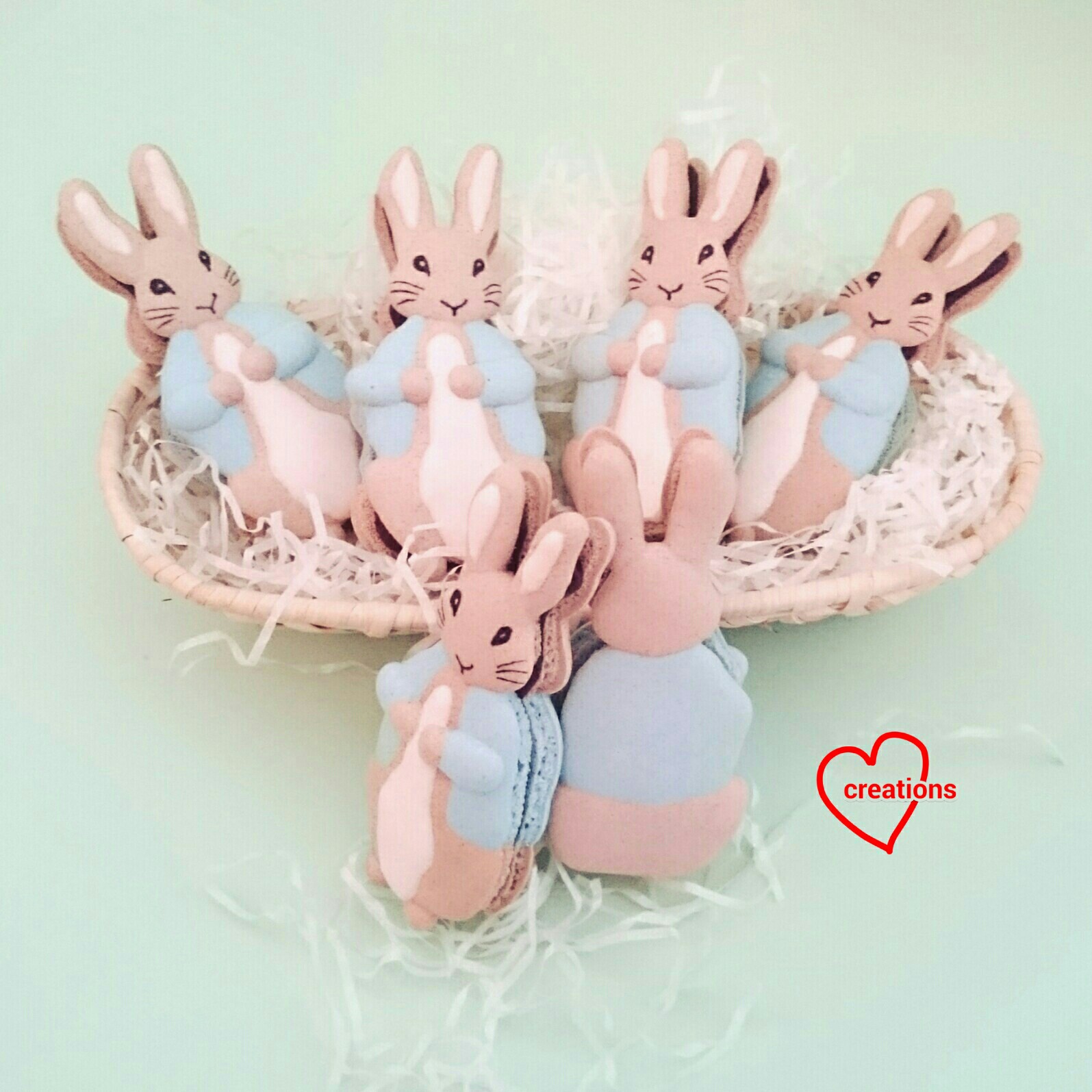 Loving Creations For You Peter Rabbit Macarons With Dark Chocolate 