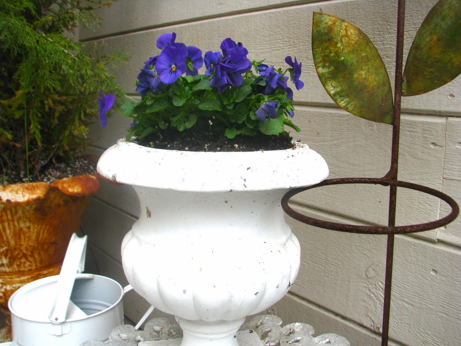 Adding color to your garden White Ironstone Cottage