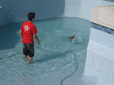 pool blue