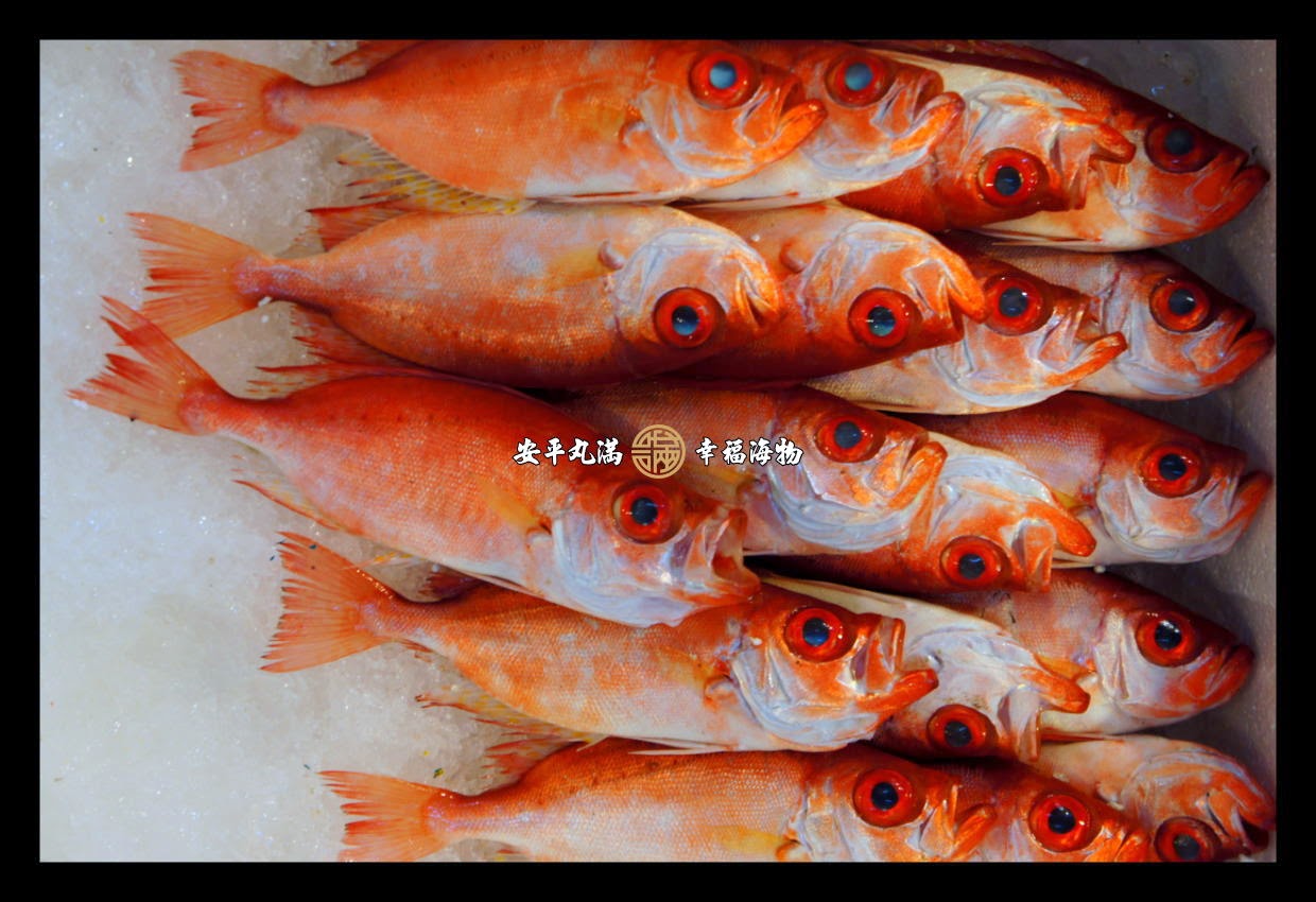 幸福海物 紅目鰱300g 10 單尾 Pchome商店街 台灣no 1 網路開店平台
