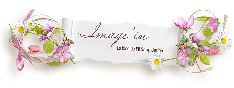 Image'In, le blog de Pliscrap design