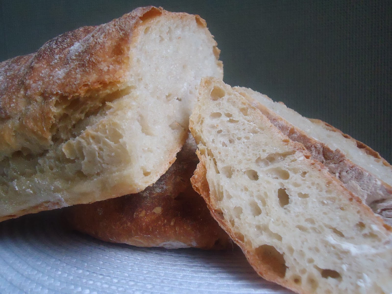Pan Ciabatta y un nuevo miembro