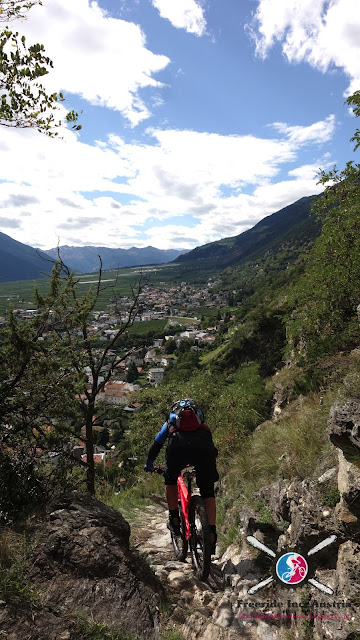 Biken im Flow Valley