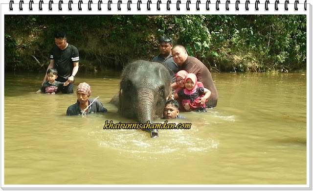 Tempat Menarik di Pahang|Pusat Konservasi Gajah, Kuala Gandah, Lanchang Tempat Menarik di Pahang|Pusat Konservasi Gajah, Kuala Gandah, Lanchang