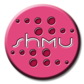 (SHMU) - Sky's Hair and Makeup