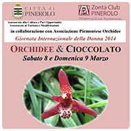 Orchidee e cioccolato a Pinerolo 2014