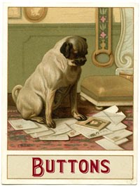 Jenny Marples - DT Lead