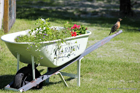 stencils, fusion mineral paint, giveaway, wheelbarrow, garden junk, planter, robin, http://bec4-beyondthepicketfence.blogspot.com/2016/05/welcome-to-my-gardenstencil-paint.html
