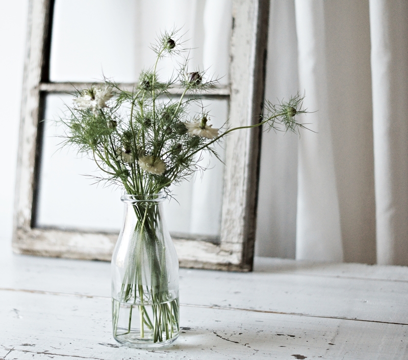 Blog + Fotografie by it's me! - kleine Milchflasche mit einem Strauß Jungfer im Grünen Nigella