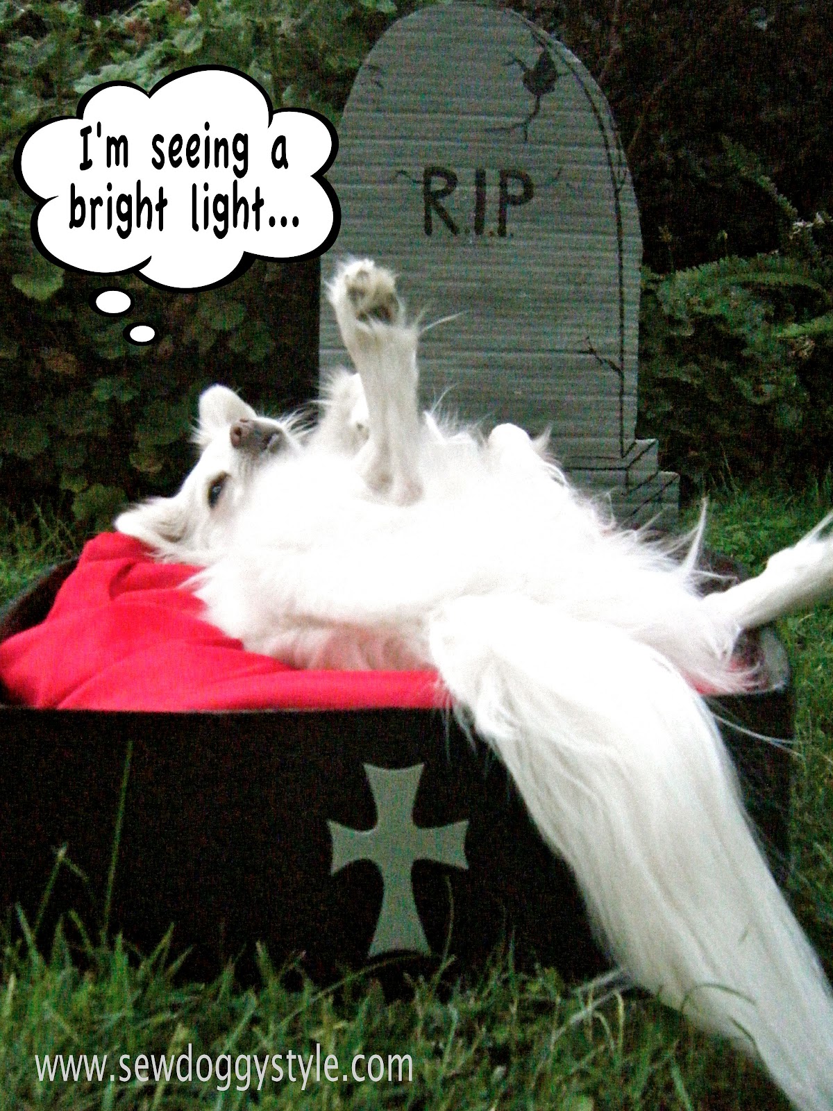 Sew DoggyStyle Halloween DIY Dog Bed Coffin