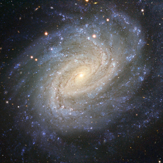 Spiral Galaxy NGC 1187 and Supernova SN 2007Y