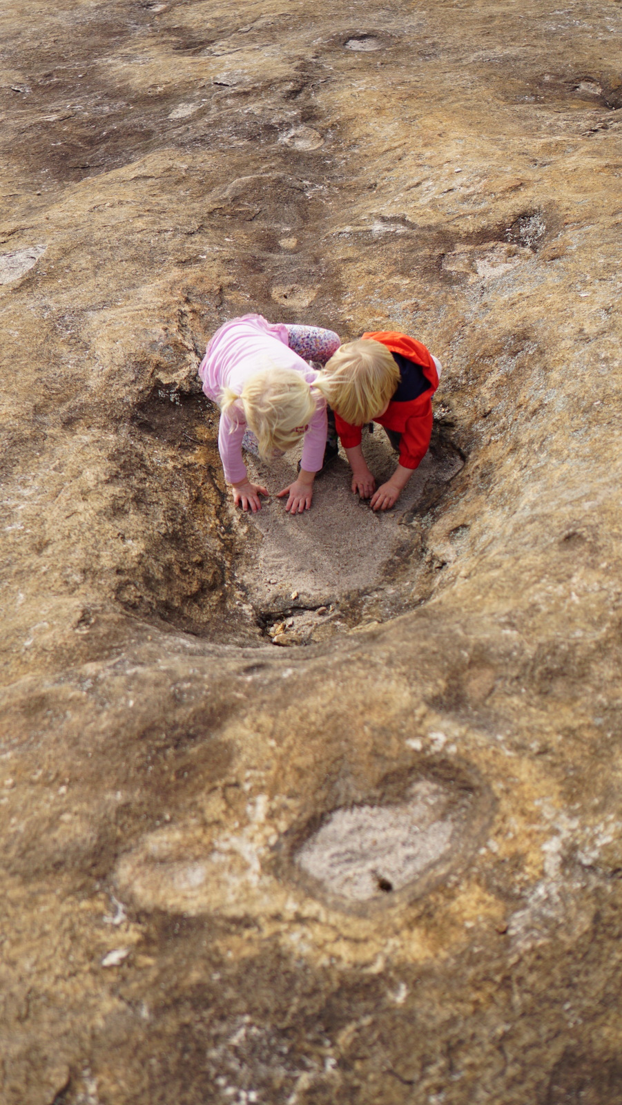 Arabia Mountain and First Black Eye