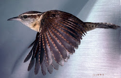 birds shines sun blogthis email flying