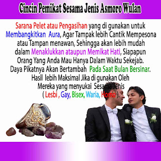 Mustika Sesama Jenis Asmoro Wulan