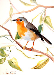 watercolor watercolour bird paintings painting animal birds easy robin vertical watercolors animals drawings drawing orientation aquarela artists arts pintura things