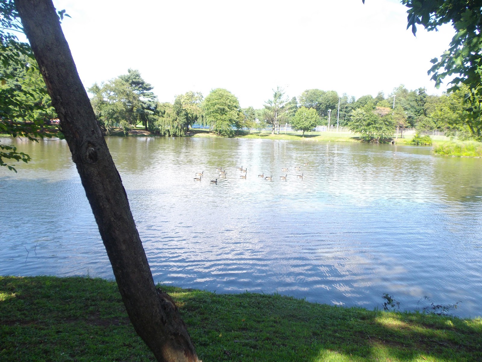 The Great Lakes of NYC Fishing in West Orange New Jersey