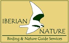 Iberian Nature - Birding & Nature Guide Services