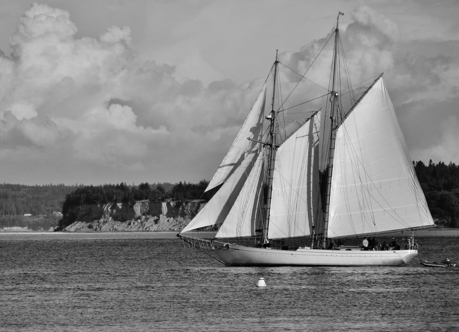 Port Townsend Daily Photo Sky, Sea and Sail