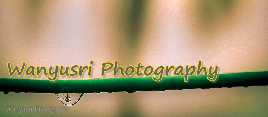 Wanyusri Photography