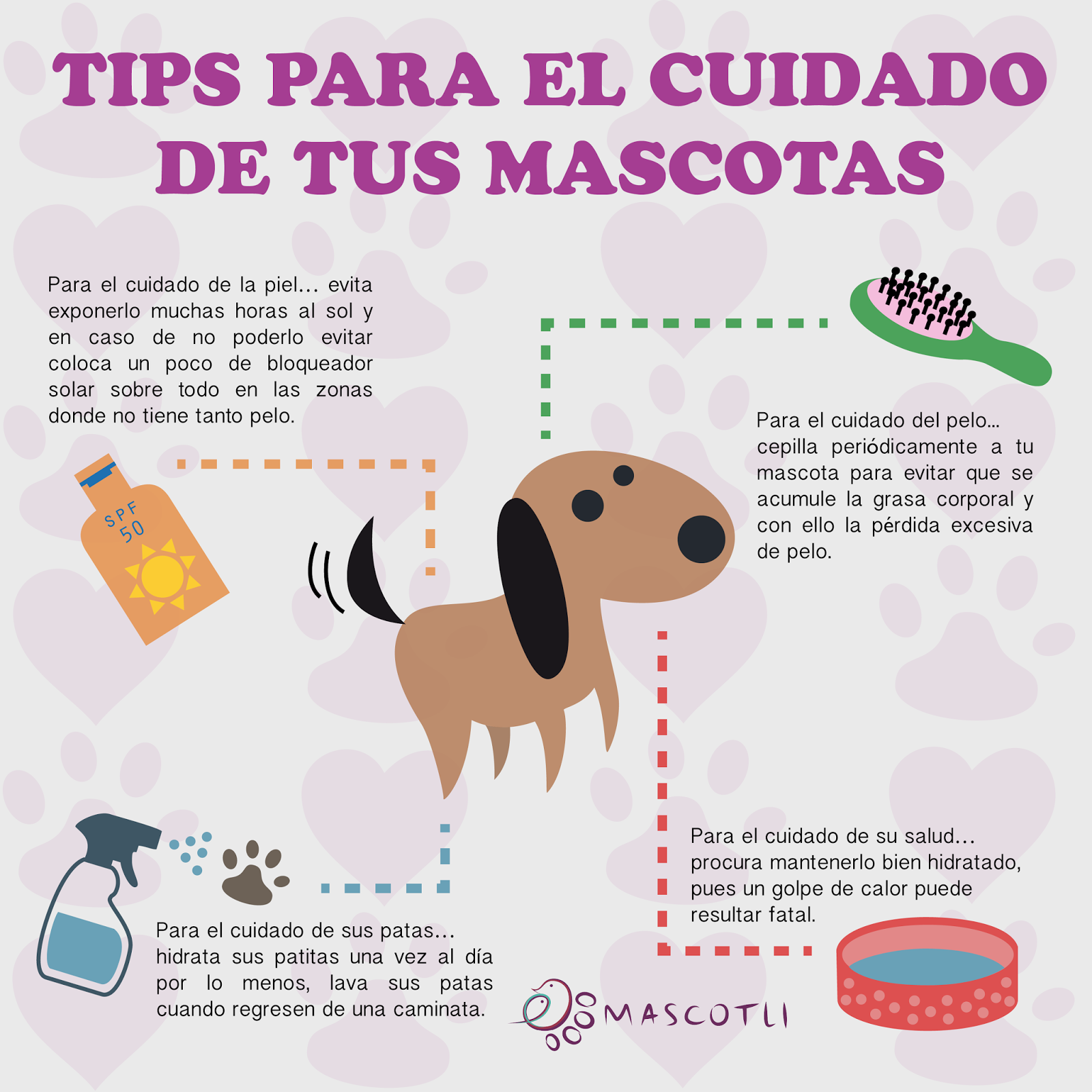 Cuidados Para Tu Mascota: 2017
