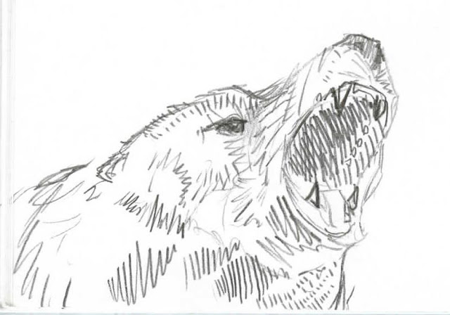 Angry Bear Drawing | Funny Collection World