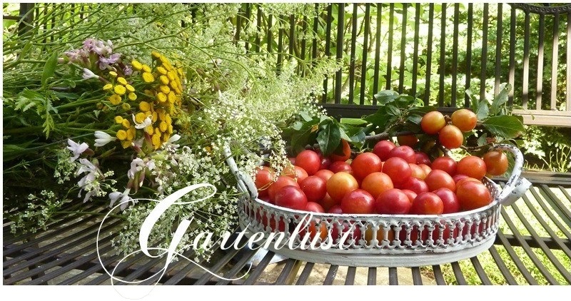 Romantik Seelchen In Gottes Krauter Garten