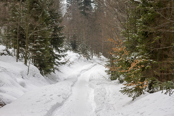Wędrujemy... Brenna Przełęcz Karkoszczonka