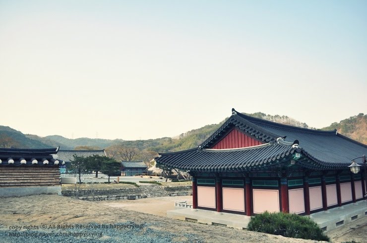 Here, you can find everything about Gyeongbuk!: Gyeongju cherry ...