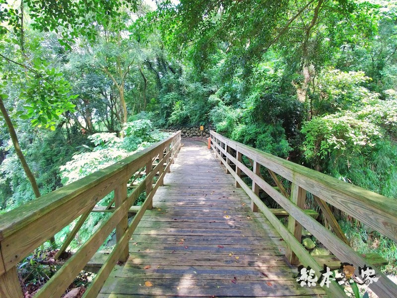 一秒到歐洲|苗栗飛牛牧場|最美牧場和大草原~野餐嬉戲觀乳牛、人工濕地護自然