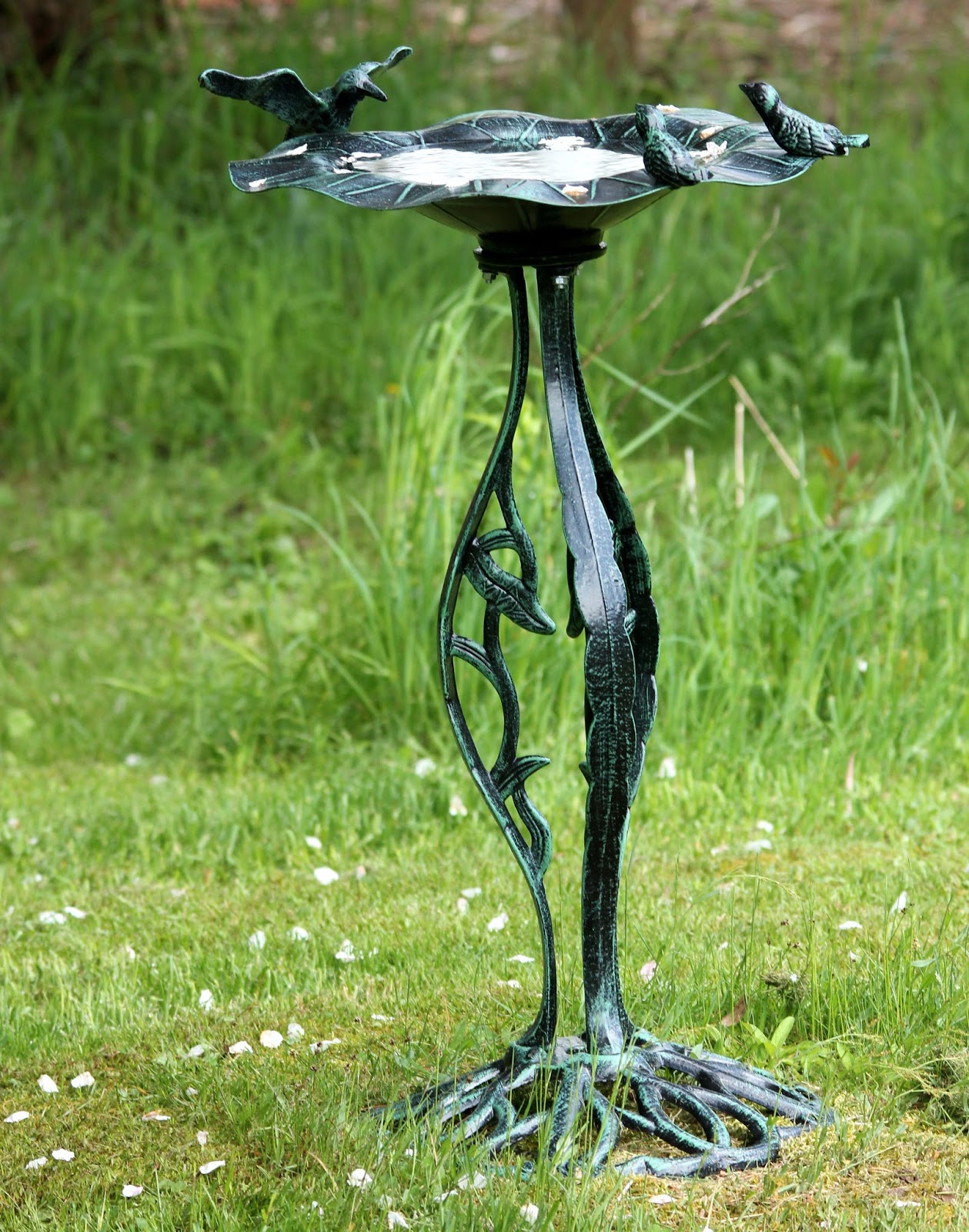 Here and There Day 148 27th May 2016 RedWing Blackbird, Bird Bath