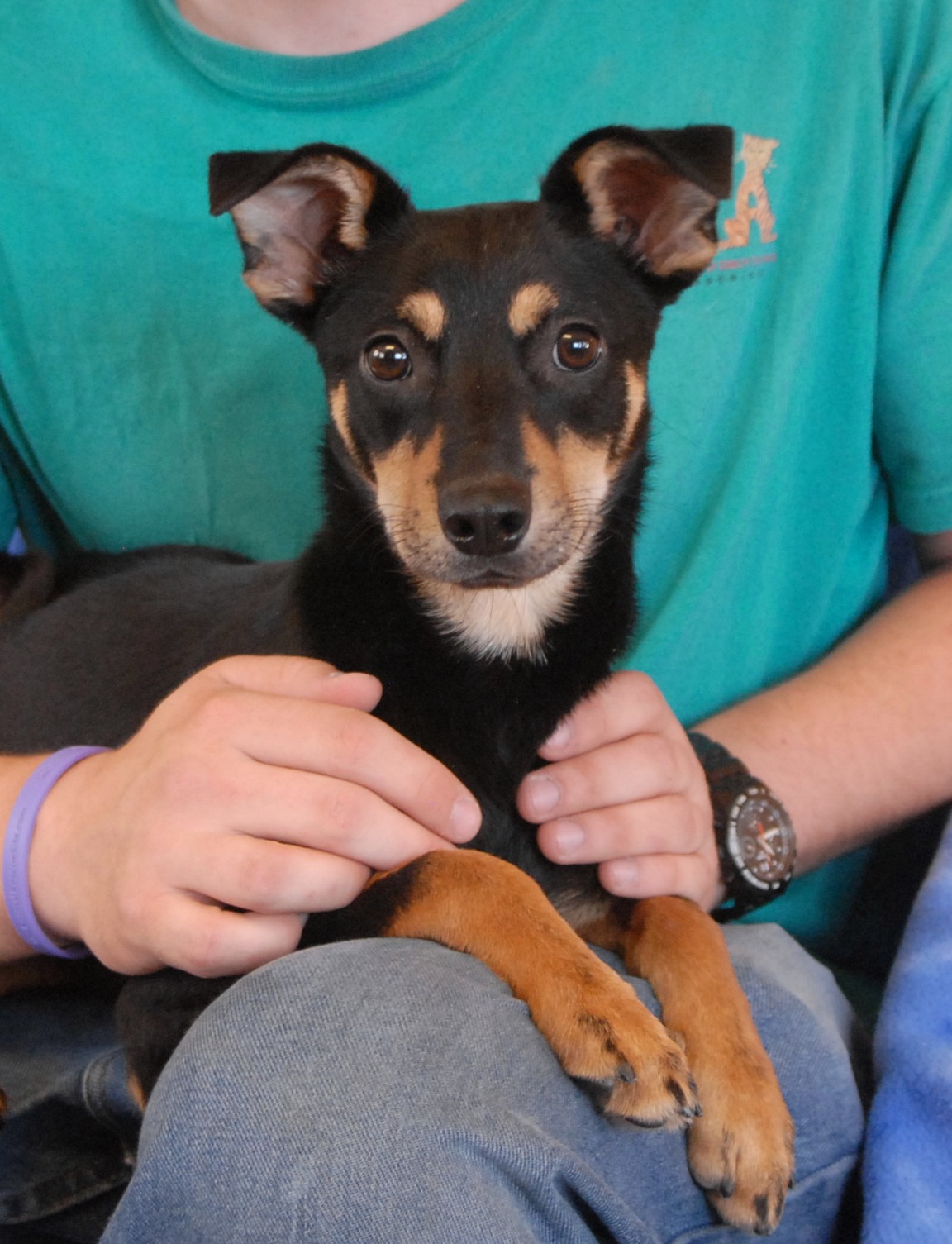 I feel like a brand new puppy again!