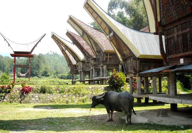 Rumah  Adat Suku Toraja di Sulawesi Selatan
