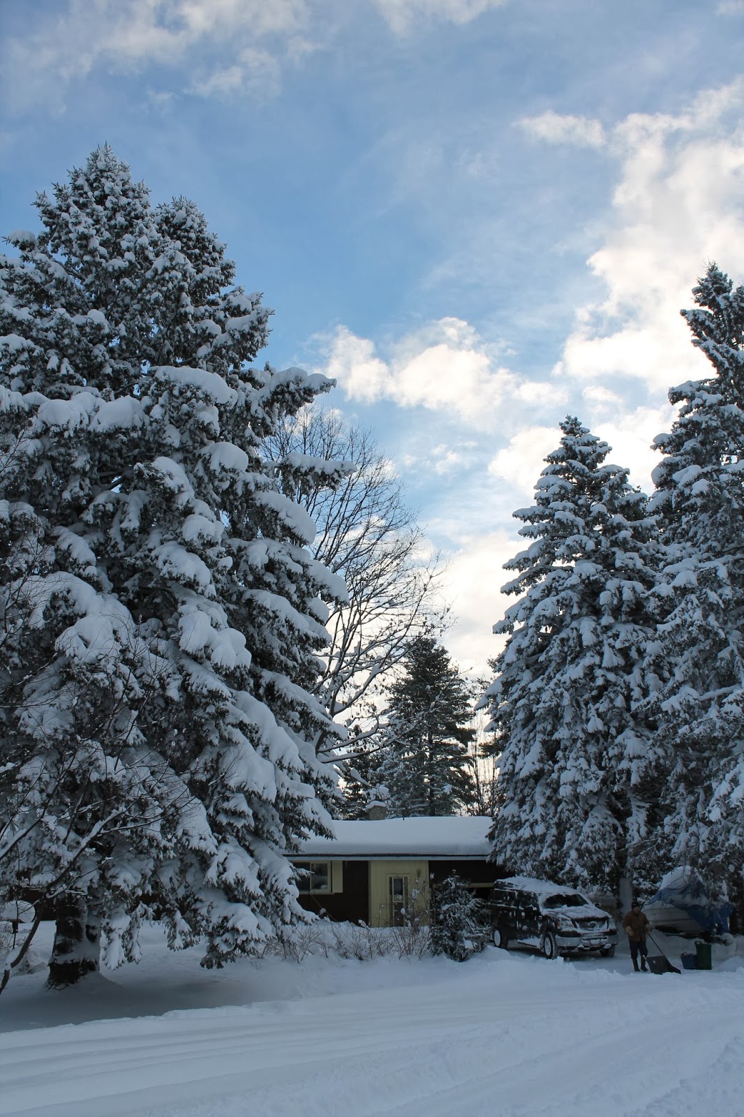 Ted Currie; Antique Head Christmas in Gravenhurst; What We Miss By Not