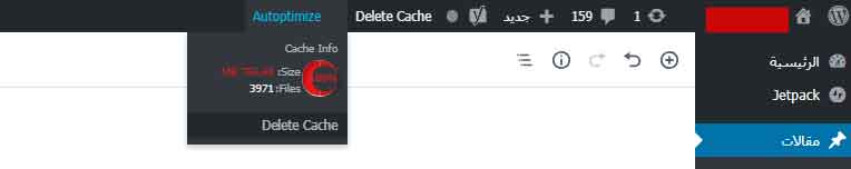 مشكلة اعدادات اضافة autoptimize
