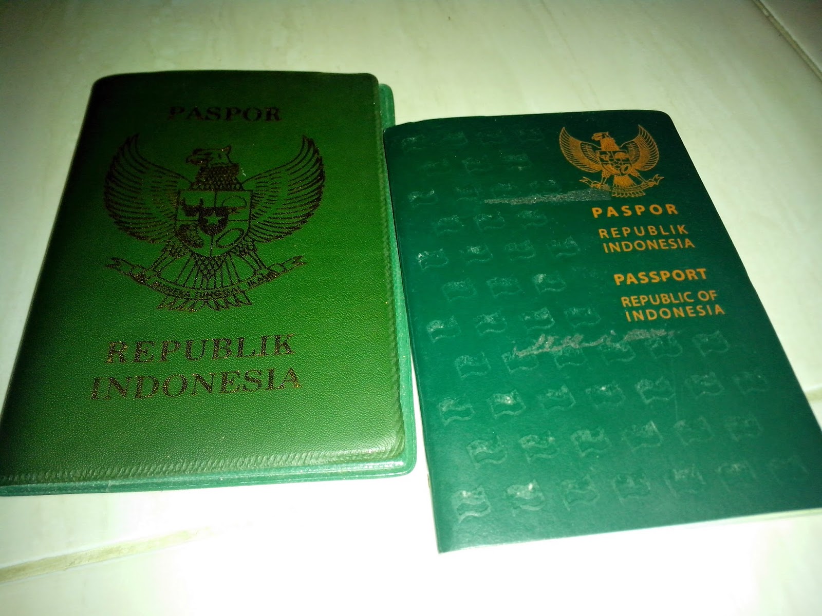 Valid passport. Паспорт Индонезии. Армянский паспорт. Паспорт Индонезия Sigit Maulana. Fransiya Passport.