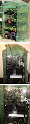 gardman tier greenhouse