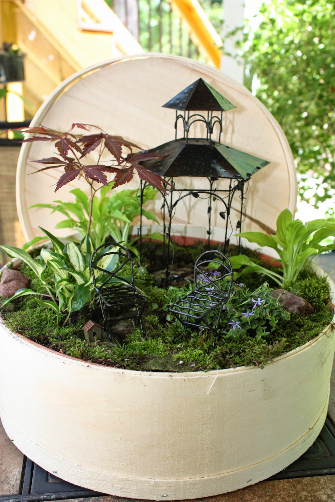 Garden Thyme with the Creative Gardener: Creating Fairy Gardens or ...