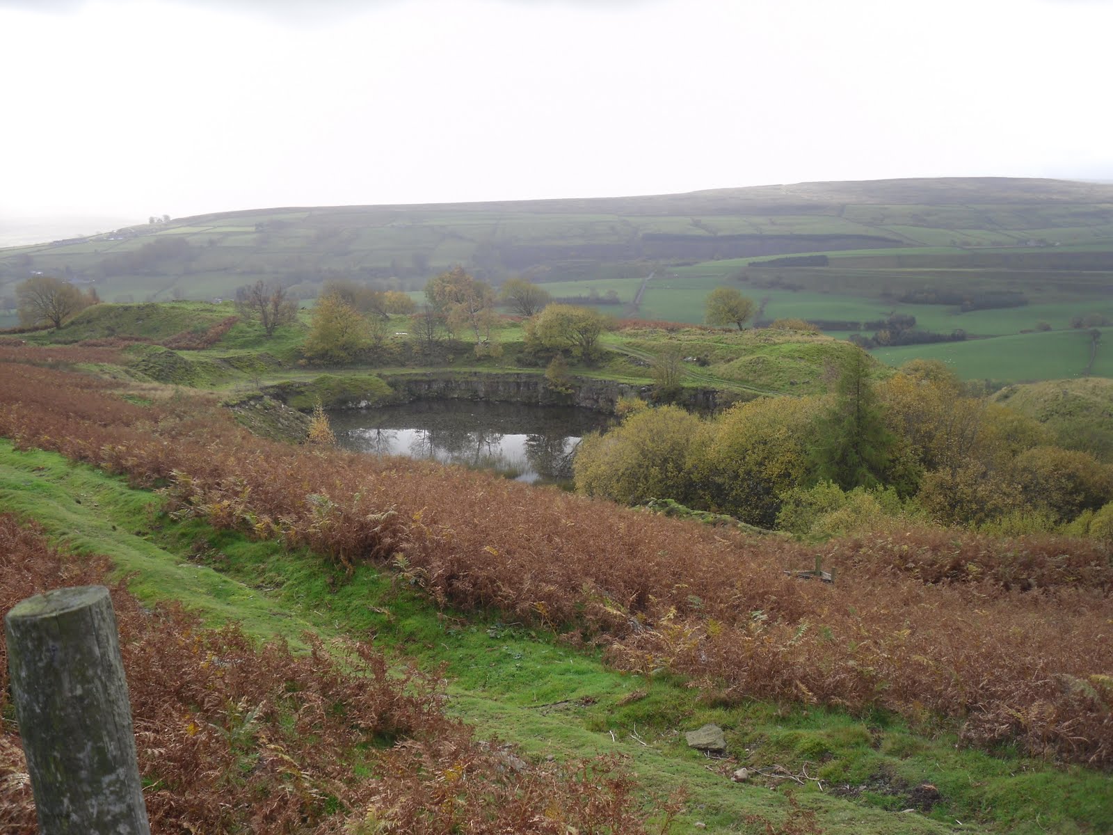 Rambling Nana Stanhope & Wolsingham Park Moor