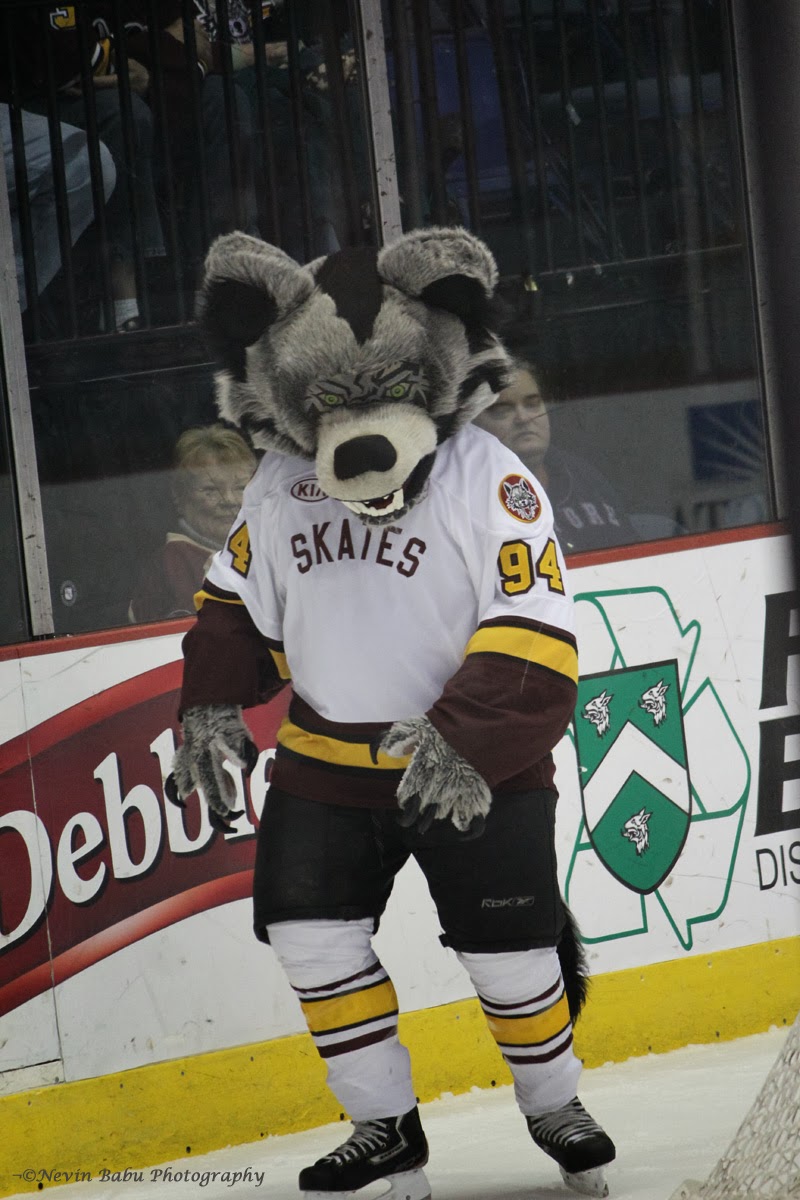 SKATES - The Chicago Wolves Mascot - THROUGH THE LENS