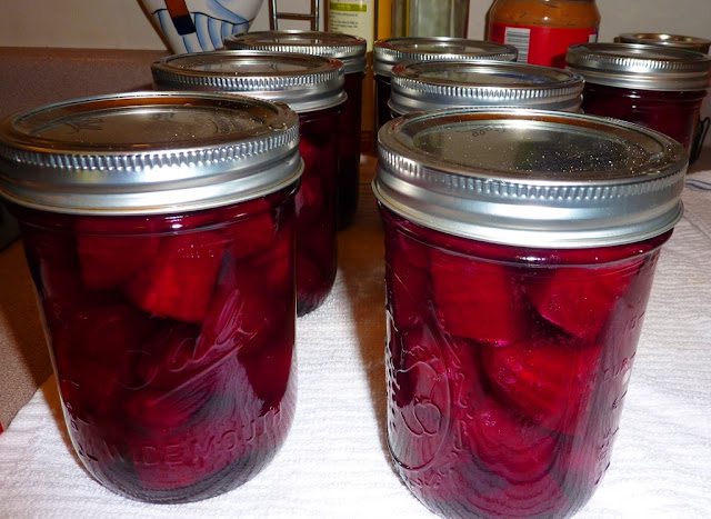 Canning beets