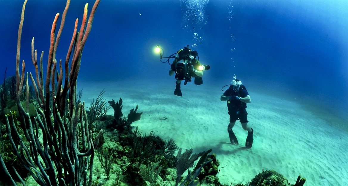 The 6 Best Waterproof Cameras in 2017 Park Cameras Blog