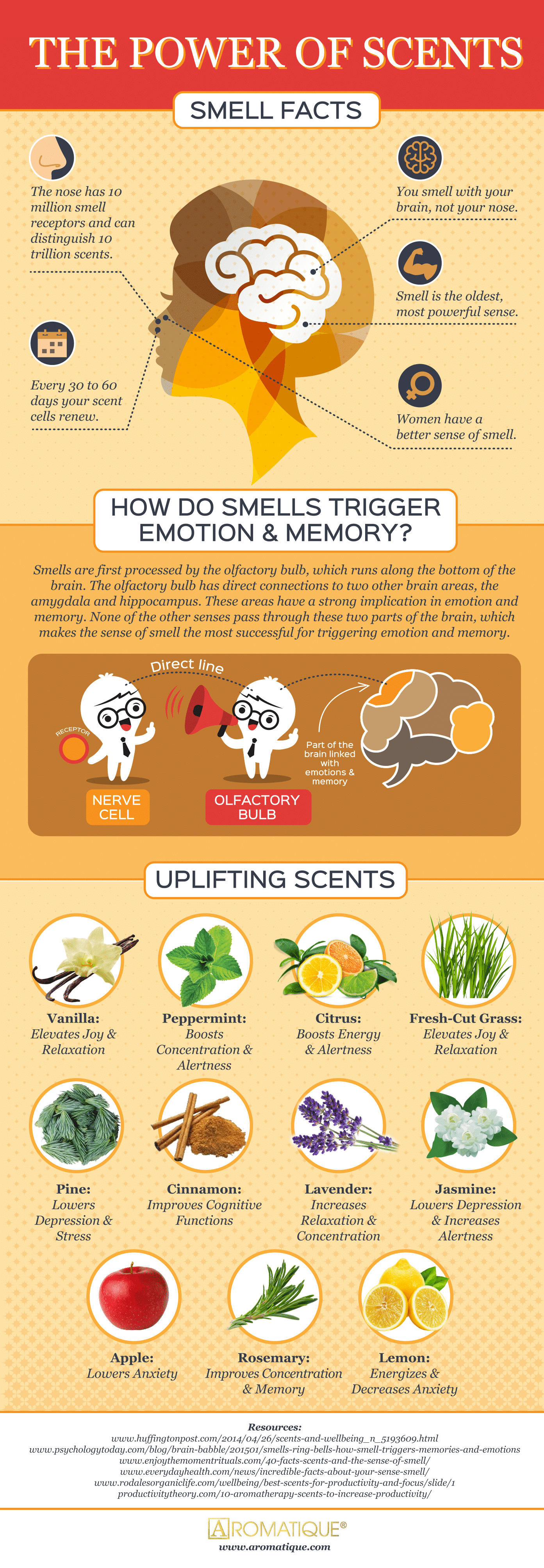 The Power of Scent: Smell Facts #Infographic #Facts #Health The Power of Scent: Smell Facts