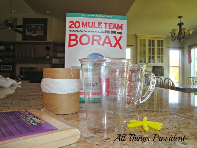 All Things Provident Kid s Craft Growing Borax Crystals