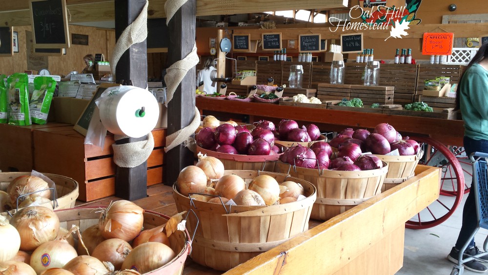 How to Homestead, No Matter Where You Live Oak Hill Homestead